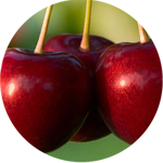 black-cherry