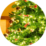 christmas-tree