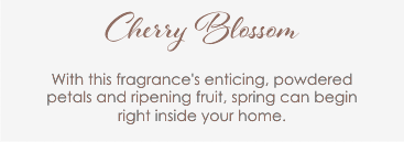 Cherry Blossom