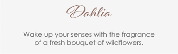 Dahlia
