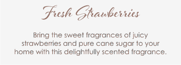 Fresh Strawberries