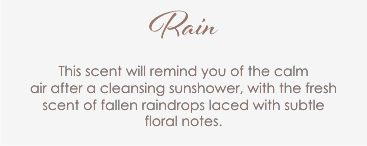 Rain