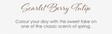 Scarlet Berry Tulip
